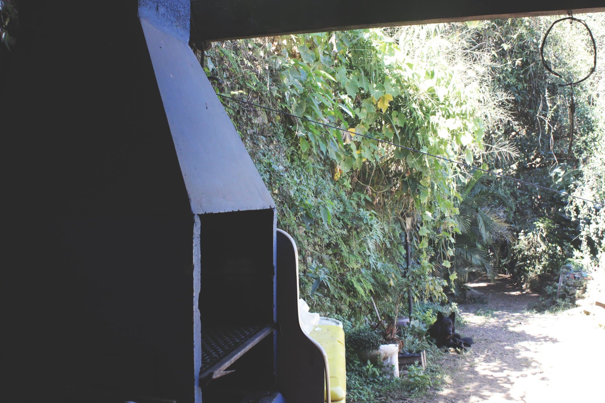 Área externa com jardim e espaço para churrasco.