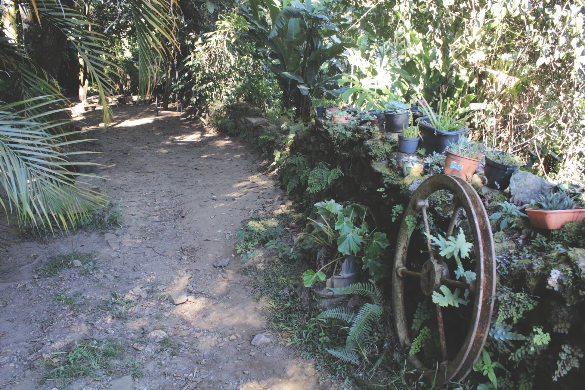 Área externa com jardim e espaço para churrasco.