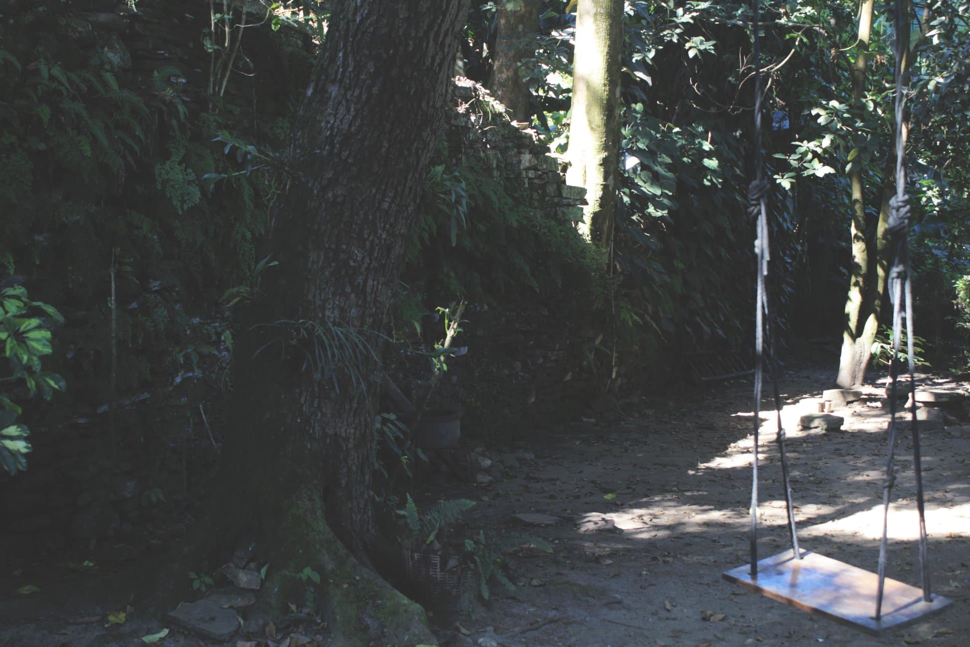 Área externa com jardim e espaço para churrasco.